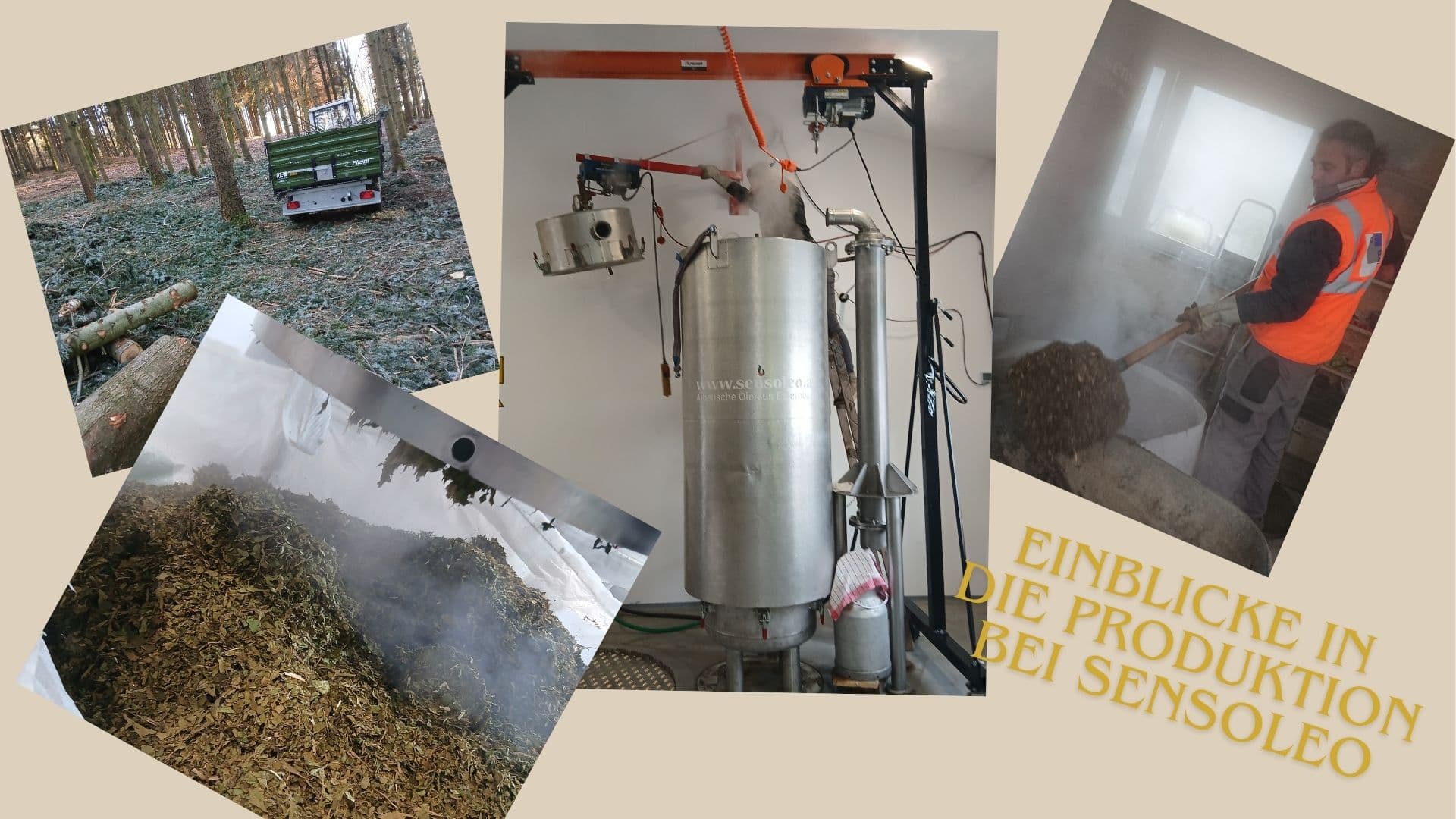 Einblicke in die Produktion