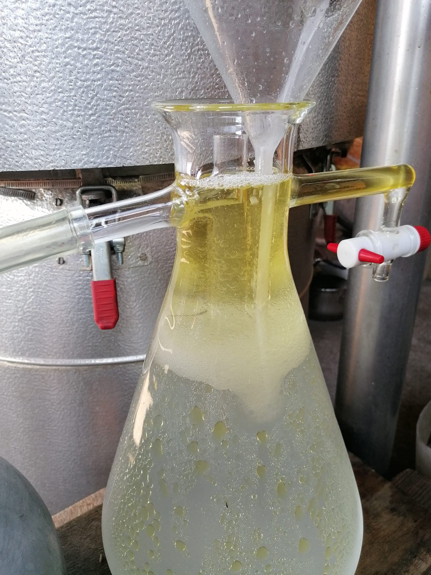 Florentinervase zur Trennung von ätherischem Öl und Hydrolat