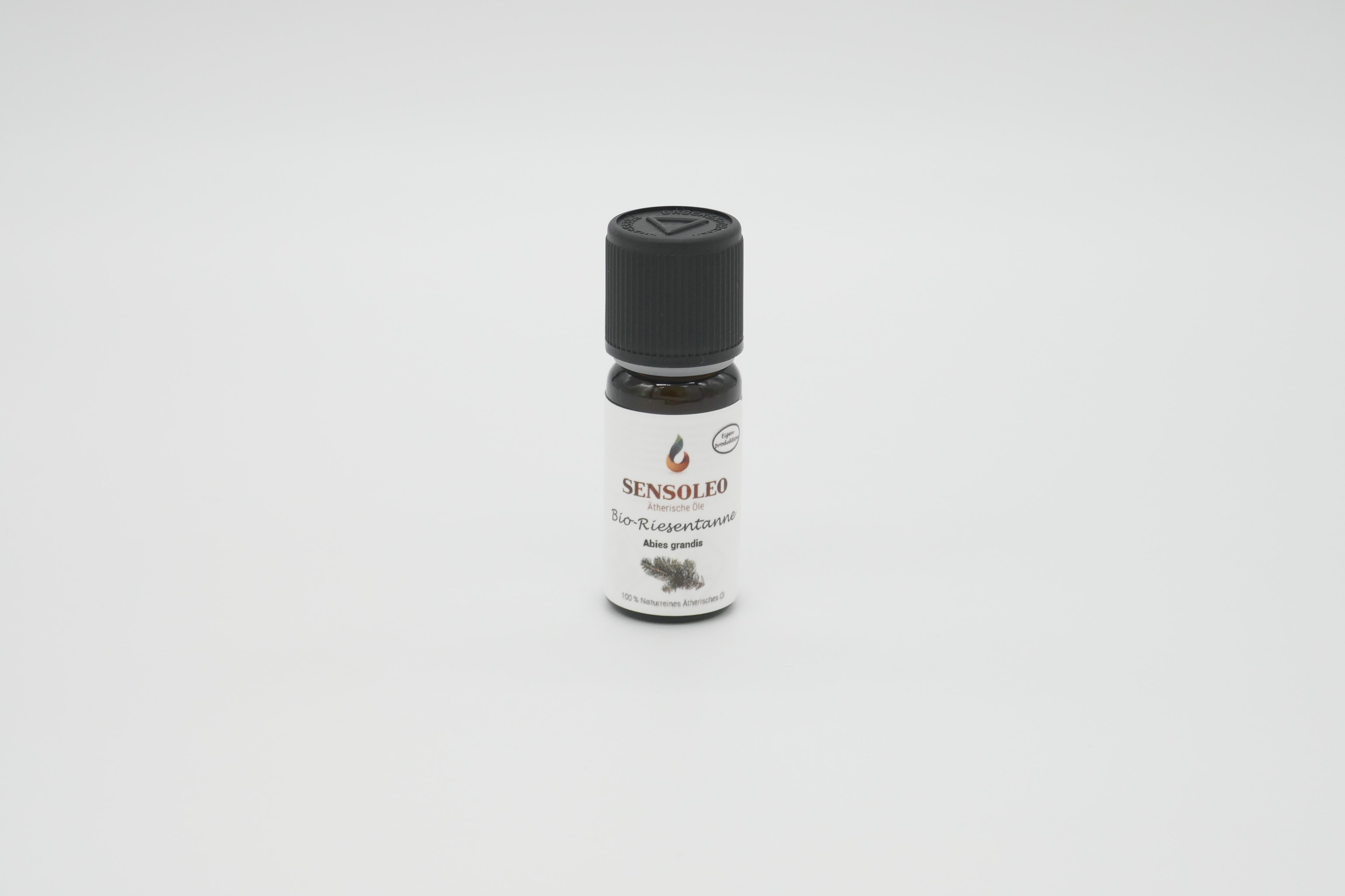 Bio Riesentannenöl – Die majestätische Kraft des Waldes