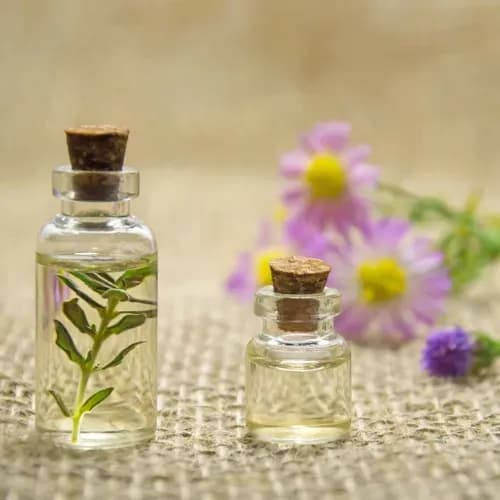 Ätherische Öle zur Stressbewältigung und Konzentration
