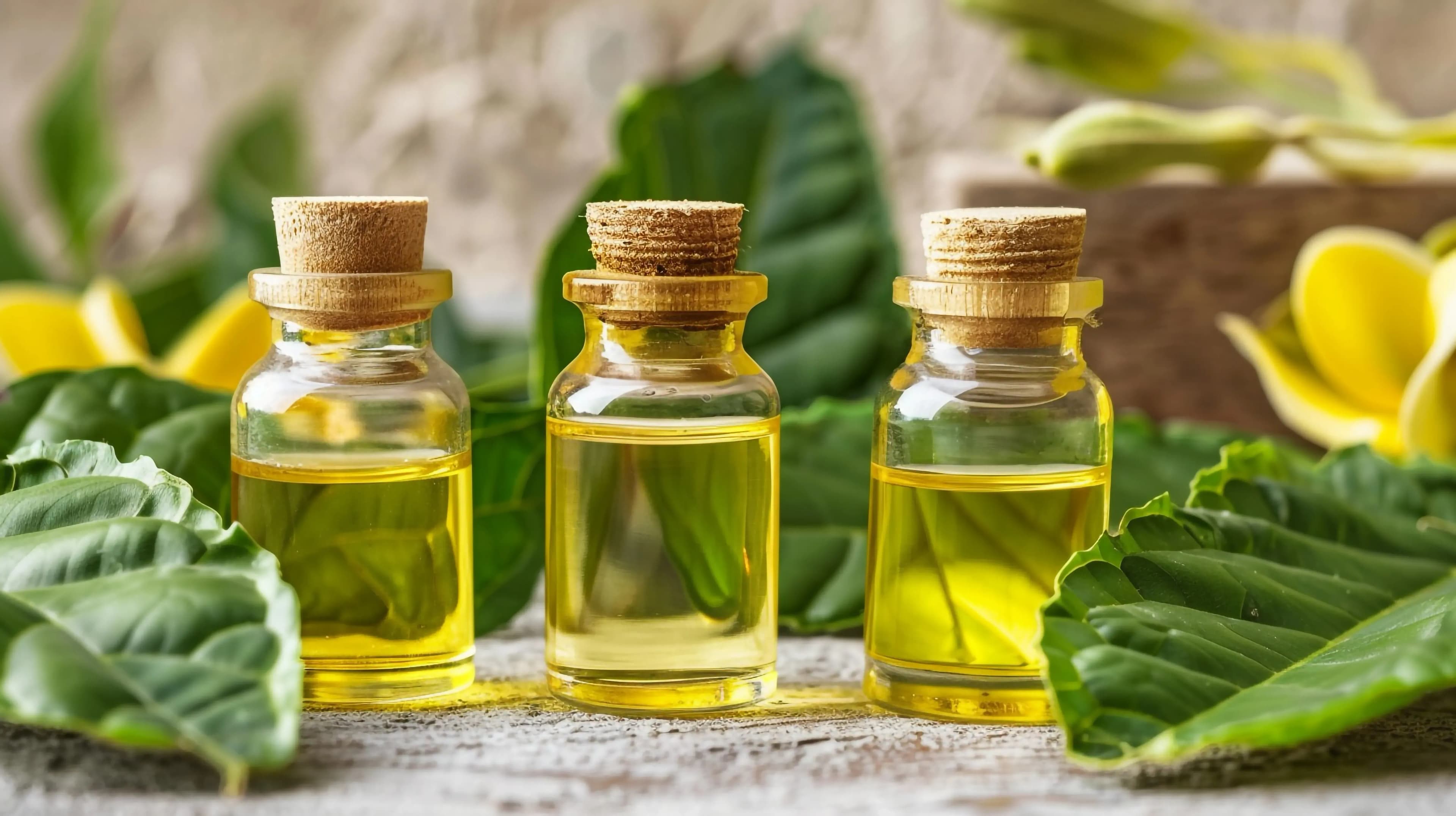 Hochwertige Bio-Öle für Zuhause kaufen