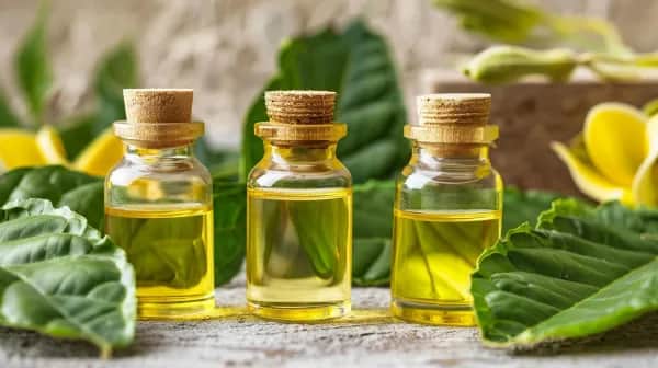 Hochwertige Bio-Öle für Zuhause kaufen