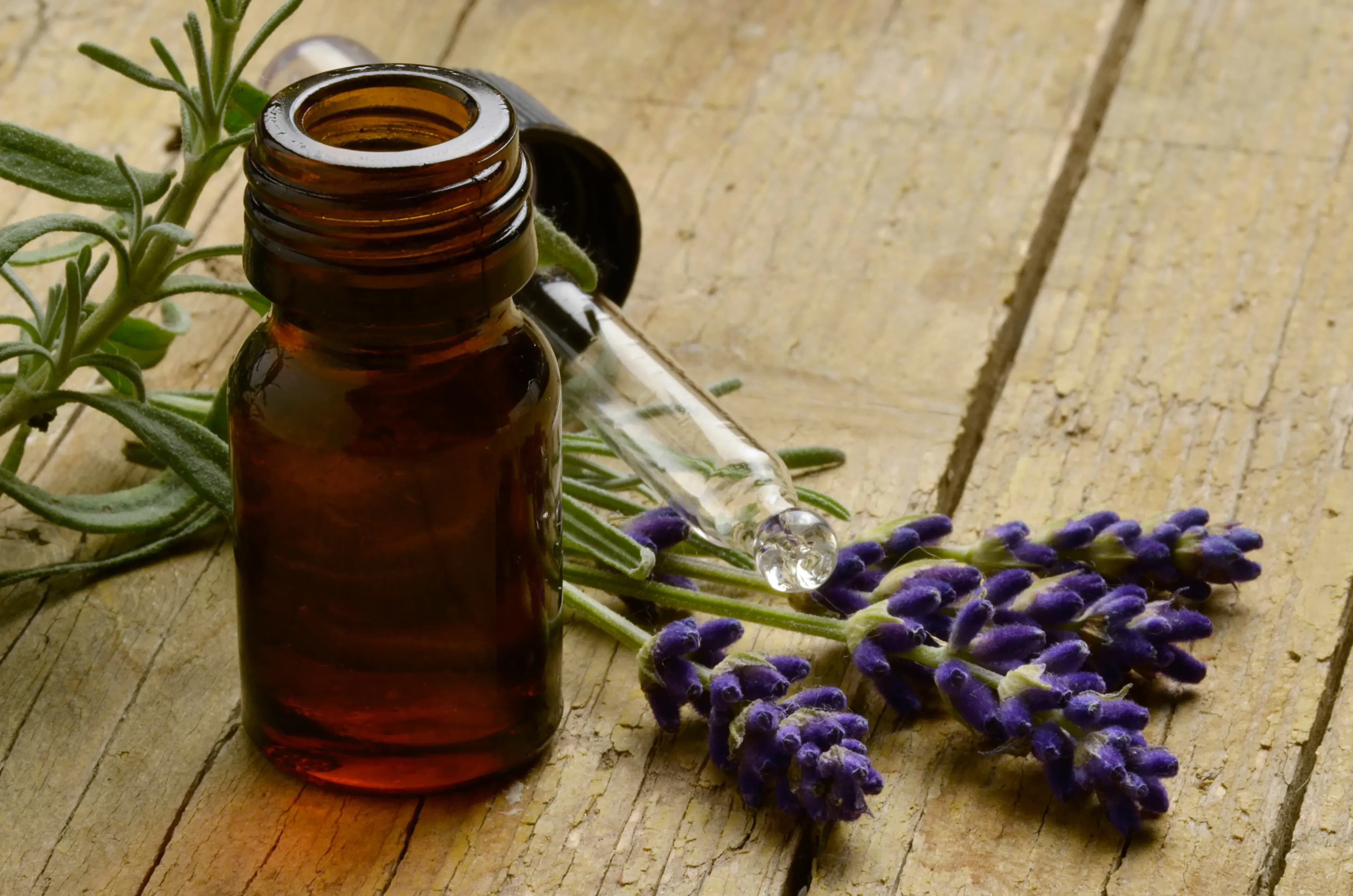 Kann man durch Lavendel besser schlafen?