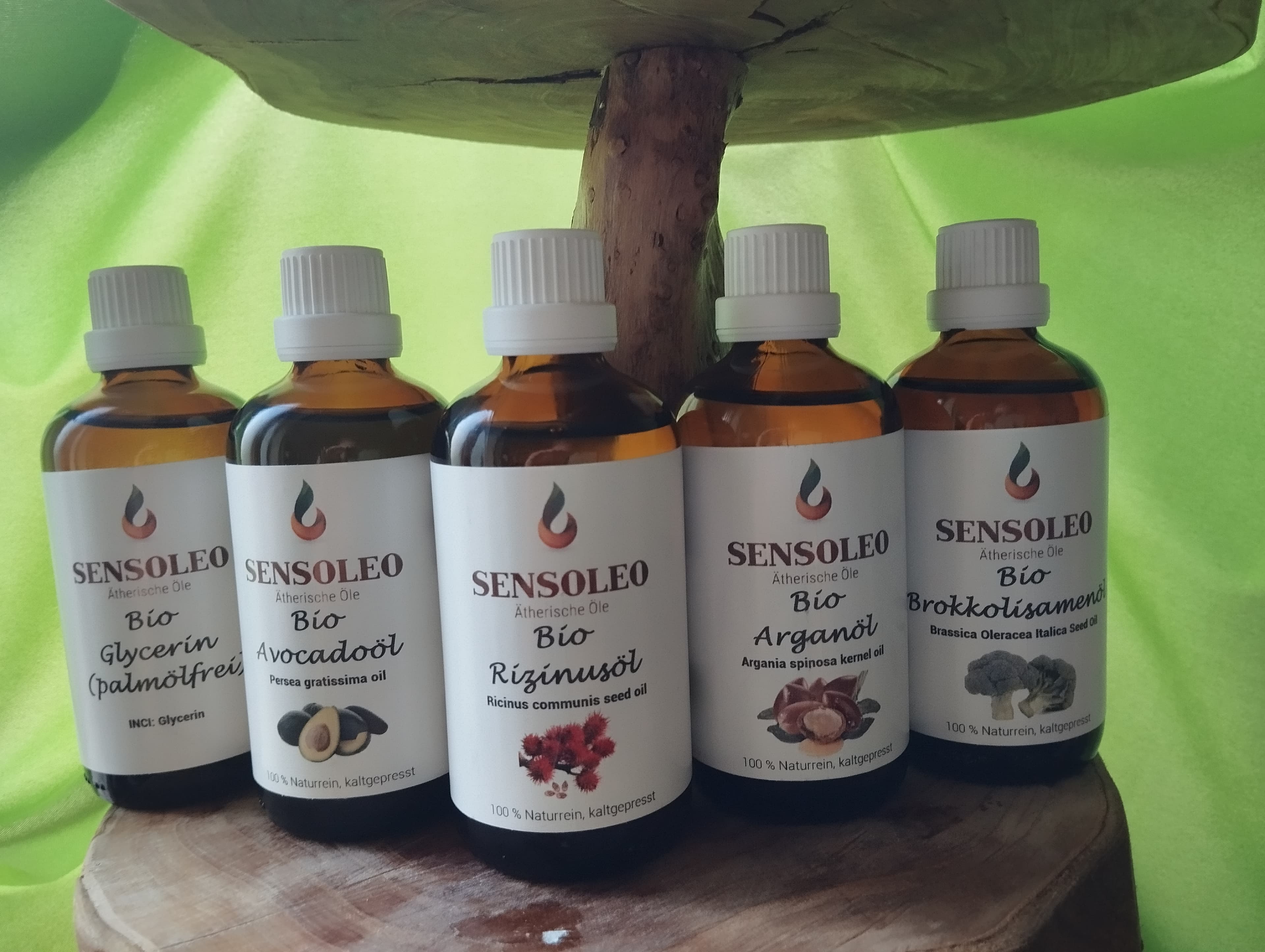 Sortiment an fetten Ölen in Bioqualität