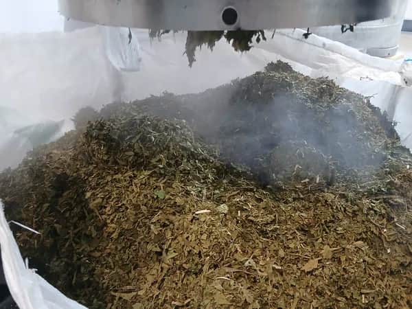 Kräuter nach der Wasserdampfdestillation