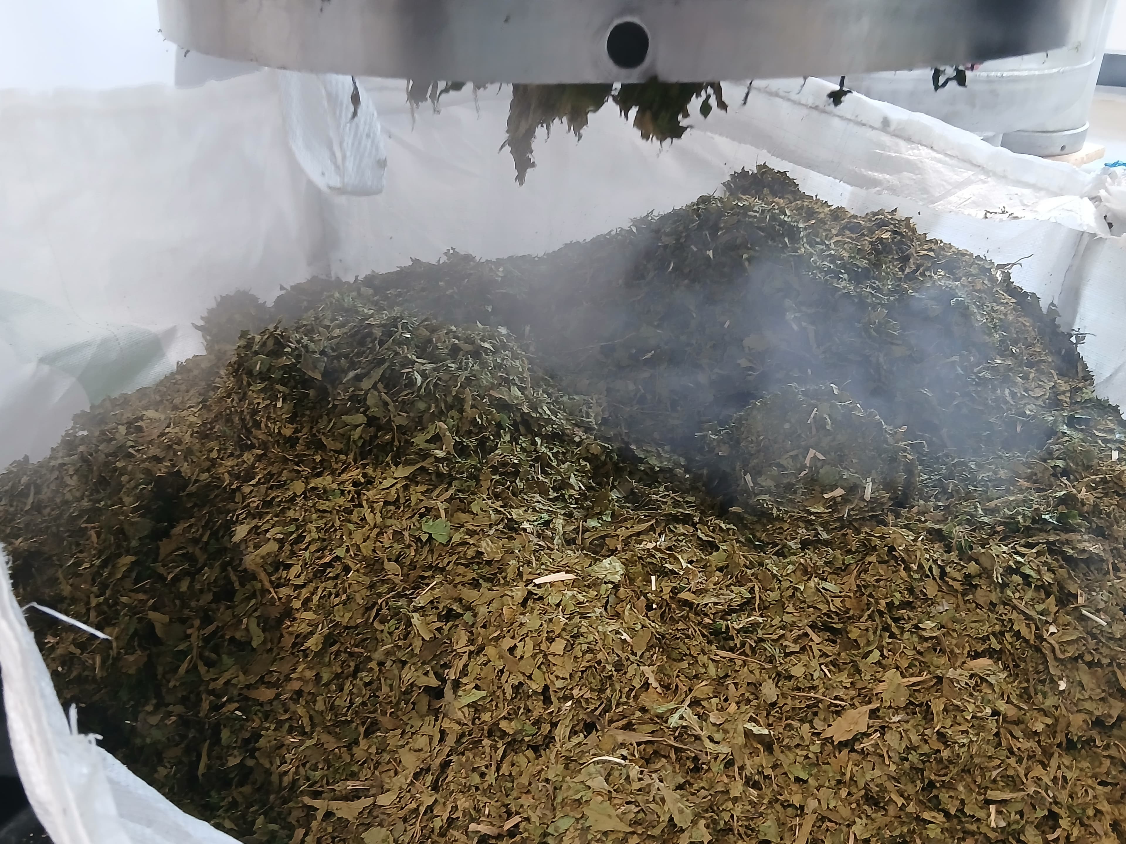 Kräuter nach der Wasserdampfdestillation