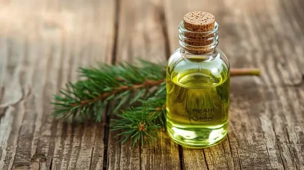 Ätherisches Bio Fichtenöl – Klarheit aus der Natur